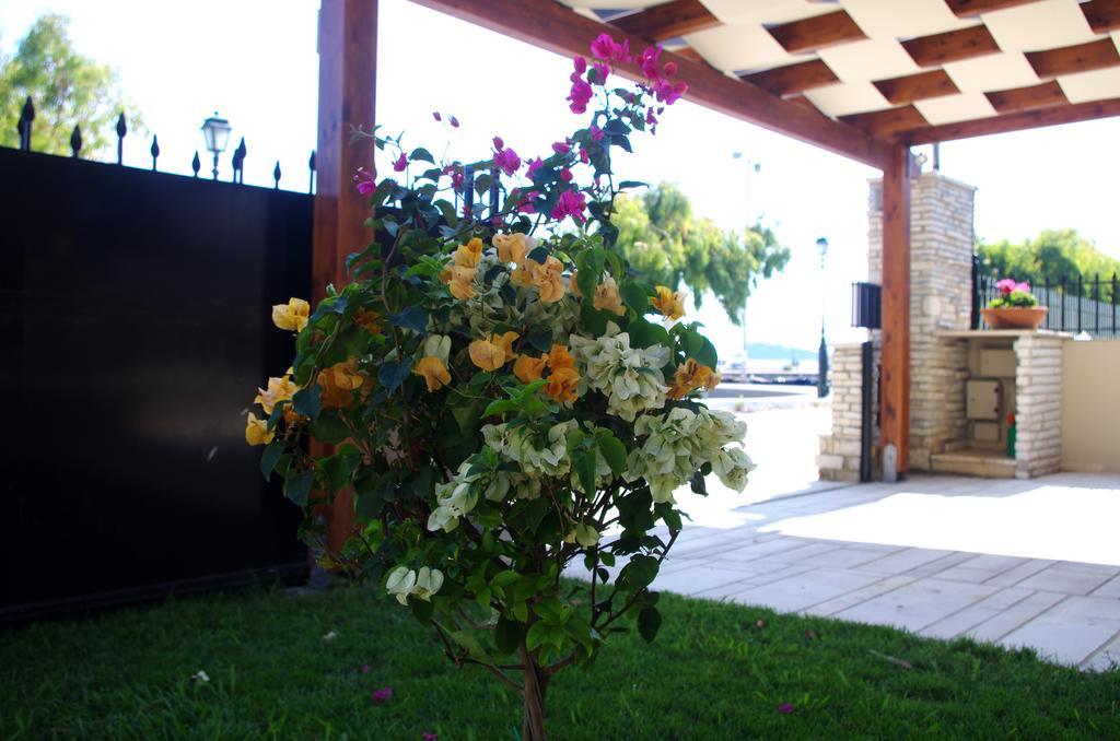 Amaryllis Holiday Home Agios Spyridon  Exterior foto